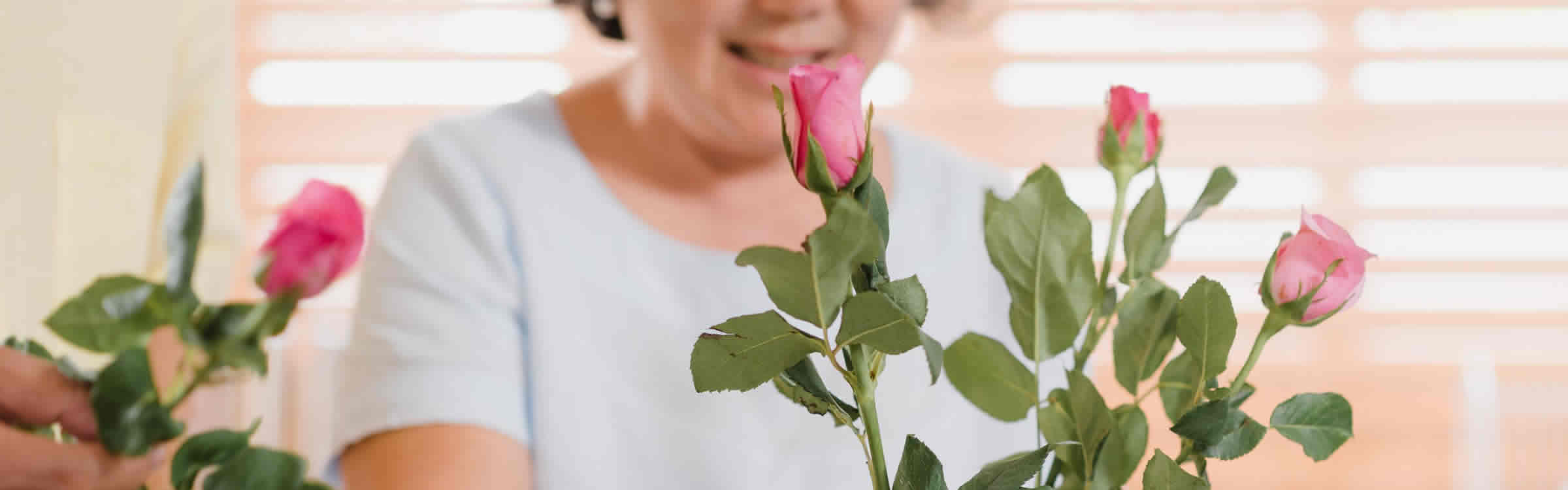 Notre Dame Court Apartments in Dallas, TX