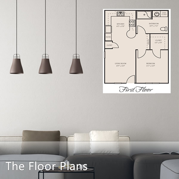 Spacious Floor Plans